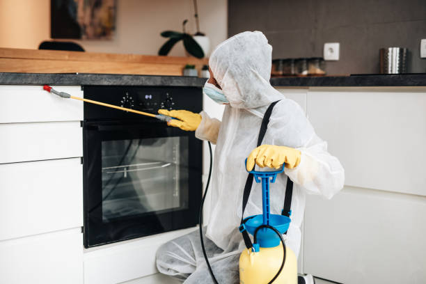 istockphoto 1354274958 612x612