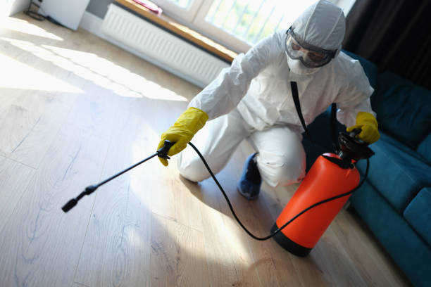 istockphoto 1431347697 612x612
